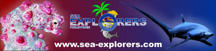 Sea Explorers